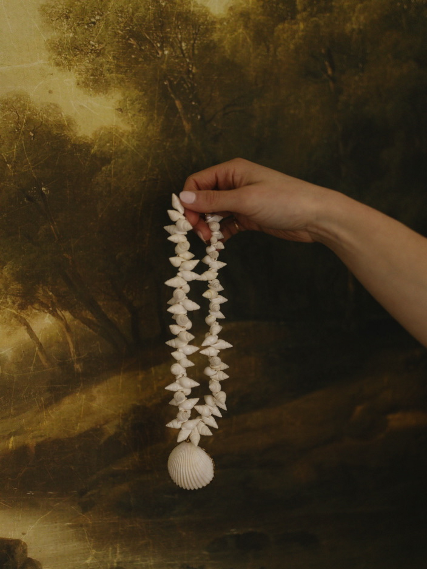Beach Shell Necklace