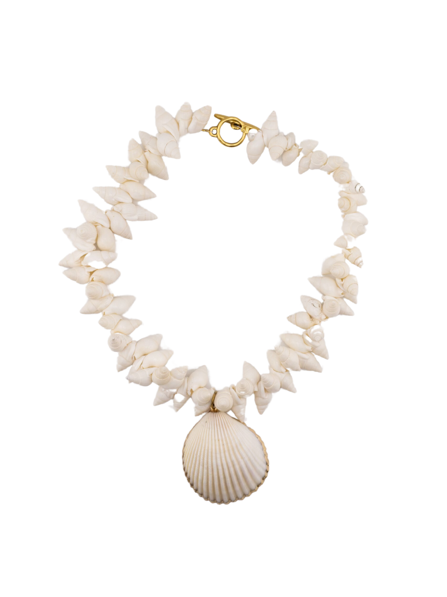 Beach Shell Necklace