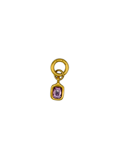 AM x AM - Charms + Small Clip